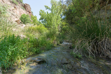 water flowing down a river, around there is vegetation