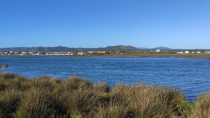 The Northern Litoral Natural Park at Ofir, Esposende, Portugal. The large estuary of the Cávado river, where you can spot migratory birds such as capped herons, terns, mallards and herring gulls.