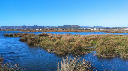 The Northern Litoral Natural Park at Ofir, Esposende, Portugal. The large estuary of the Cávado river, where you can spot migratory birds such as capped herons, terns, mallards and herring gulls.