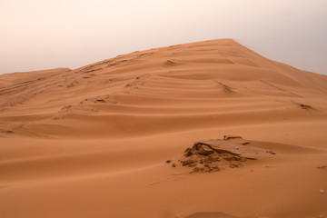 Fototapeta na wymiar sand dunes in the sahara, morocco