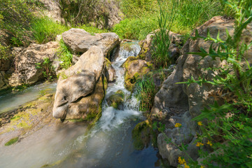water flowing down a river, around there is vegetation