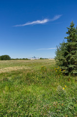 Summer Landscape with Grass and Blue Sky