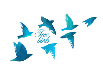 Bird watercolor. A flock of colorful birds. Mixed media. Vector illustration