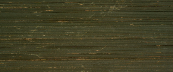 Papierstapel als Hintergrund (Olivgrün gefärbt)