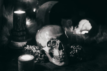 Occult mystic ritual halloween witchcraft scene - human scull, candles, dried flowers, moon and owl