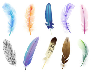 Realistic 3d feathers. Birds colored falling fluffy feathers, floating bird soft plumage feathers isolated vector icons set. Fluffy and plumage, feather falling illustration