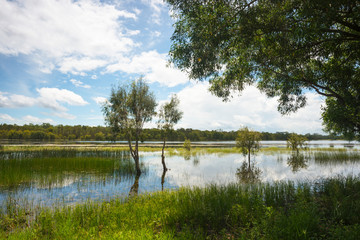 Flooded wetlands at Kakadu, Northern Territory, Australia.