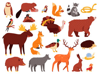 Cute animals. Cartoon forest animals, bear raccoon fox and cute owl, hand drawn mammals and birds, fall wood fauna vector illustration icons set. Bear and owl, wild fox and rabbit