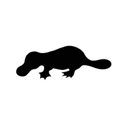 Platypus vector silhouette. Australian animal black sticker.