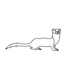 Weasel vector illustration. Forest ferret simple drawing.