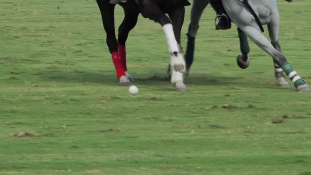 Two polo players chasing the ball in slow motion
