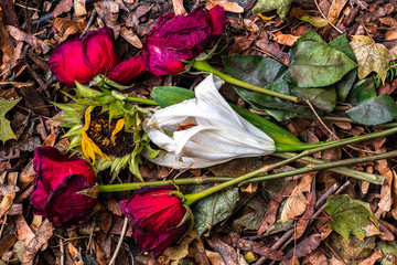 Old Bouquet of Mixed Flowers