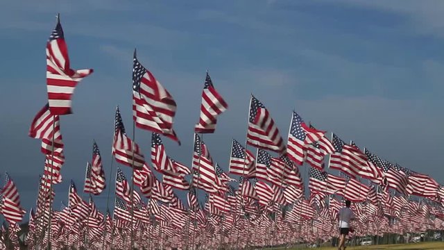 US flags memorial in honor of 911 