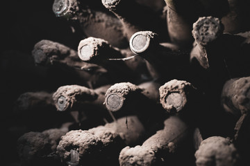 aged wine bottles covered with mold in vintage wine cellar