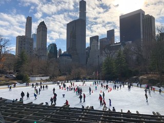 Central Park, New York