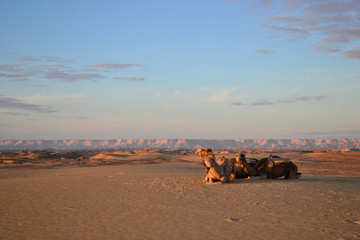 Obraz na płótnie Canvas Sahara View