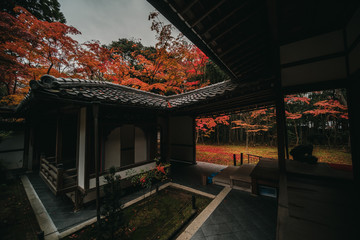 大徳寺　高桐院