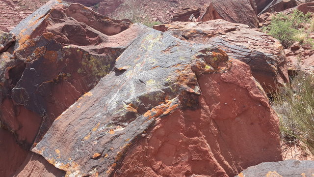 Parque Nacional Talampaya (Argentina, provincia La Rioja)