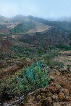 Paisaje en Lomo del Palo en la isla de Gran Canaria