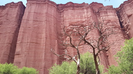 Parque Nacional Talampaya (Argentina, provincia La Rioja) © FliaMont