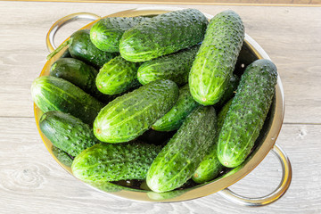 Fresh cucumbers in a colander over wooden background. Fresh produce from the Farmers Market.