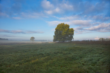 Fototapeta premium Rural Idyllic Landscape In Germany