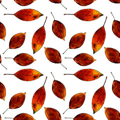 Seamless pattern with autumn leaves on white background. Hand draw illustration.