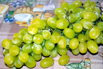 bunch of grapes