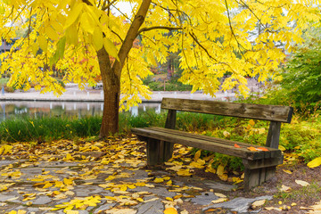 Bench in the autumn park. Finland Kotka.