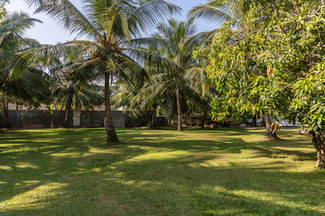 Negombo, Sri Lanka