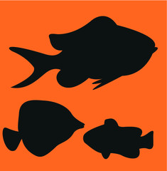 Fish icon