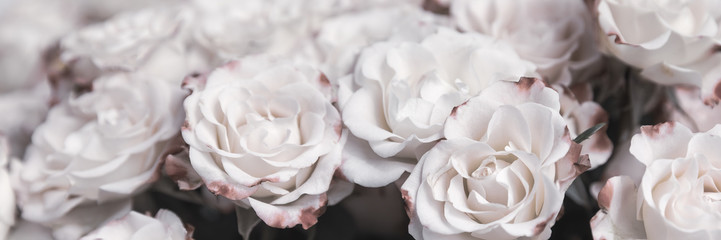 Light pink roses background