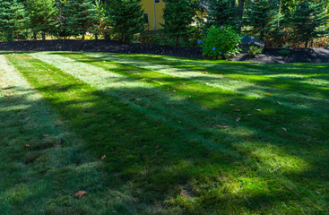 Fresh cut lawn with green grass at a residential home.