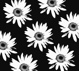Floral botanical graphic retro vintage decorative black and white pattern, daisies chamomile flowers on black background 