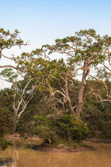 Sri Lanka, Wilpattu National Park