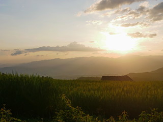 Obraz premium Evening atmosphere of the sky and rice field in rural area of Chiang Mai, Thailand - Pa Bong Piang
