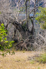 Sri Lanka, Wilpattu National Park