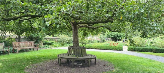 Rustic castle garden.