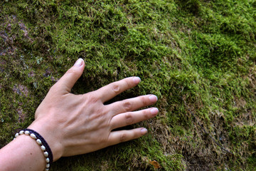 female hand on huge stone covered with green moss