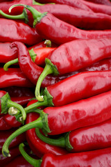 Fresh red hot chili peppers