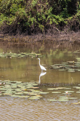 Sri Lanka, Wilpattu National Park