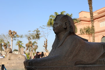 statue of the sphinx in Cairo Egypt