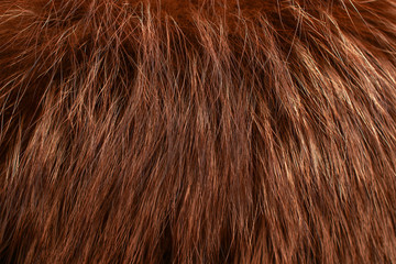 Red fur as background. Close up - obrazy, fototapety, plakaty