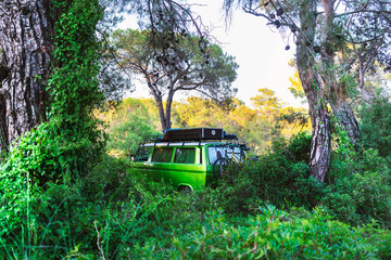 Vintage green camper van parked in the pine tree forest with lots of green foliage around it