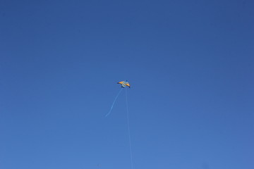 kite in the sky