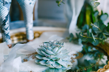 Wedding rings and an engagement ring on an echeveria succulent on a tray on a blurred background.