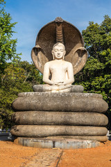 Obraz premium Sri Lanka, temples and landscape around Sigiria and the Liobs Rock