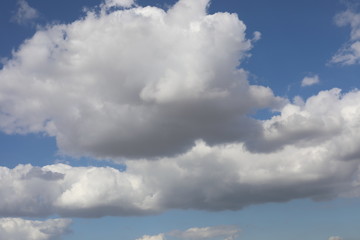 Obraz premium Natural colors of blue sky in the twilight. Wonderful morning landscape. Interesting backdrop from fluffy clouds in the morning sky. Scenic background in light gray and blue tones.