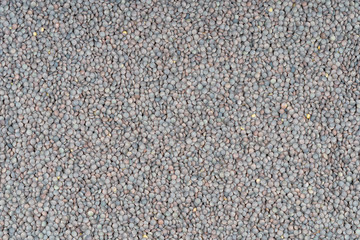 Many lentils for legumes background