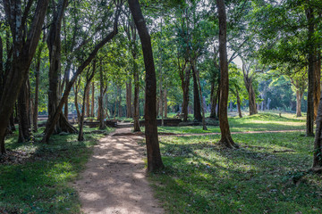 Fototapeta premium Sri Lanka, temples and landscape around Sigiria and the Liobs Rock